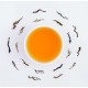 Arunachal Highland Golden Tips Black Tea ( Rising Sun Edition )