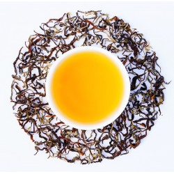 Arya Ruby Divinity - The Essence Of Autumn