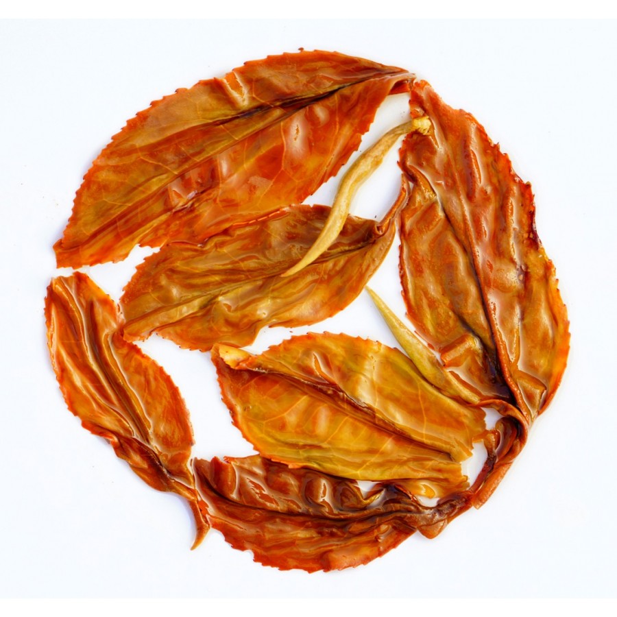 Arya Ruby Divinity - The Essence Of Autumn