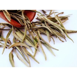 Assam Borokai Silver Buds White Tea