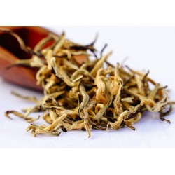 Pirates Of Assam ( Golden P2 Edition )