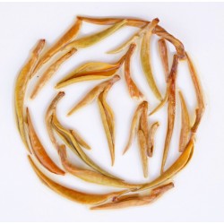 Pirates Of Assam ( Golden P2 Edition )