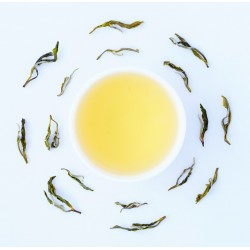 Nilgiri Winter Frost Highland White Tea 2026 ( Private Reserve )