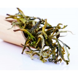Nilgiri Winter Frost Highland White Tea 2026 ( Private Reserve )