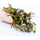 Nilgiri Winter Frost Highland White Tea 2026 ( Private Reserve )