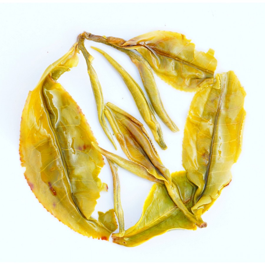 Nilgiri Winter Frost Highland White Tea 2026 ( Private Reserve )