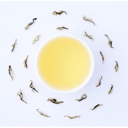 The Brahma Muhurat Tea ( Spiritual Edition )