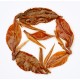 Xiang Ember Oak Roast Tea - Ancient Tribal Reserve 