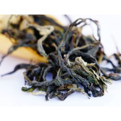 Doomni Wild Kissed Oolong Tea ( Sylvan Alchemy )