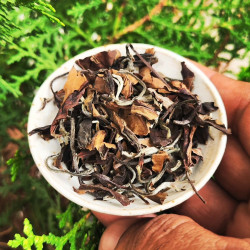 Doomni Arcadian Yellow Tea - Golden Ambrosia