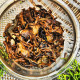 Doomni Arcadian Yellow Tea - Golden Ambrosia