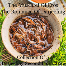 The Muscatel Of Eros - The Romance of Darjeeling