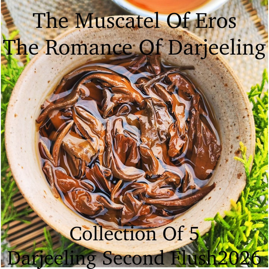 The Muscatel Of Eros - The Romance of Darjeeling