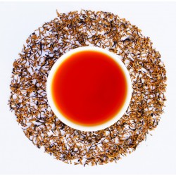 Golden Rhino (2016) - The Soul Of Assam 