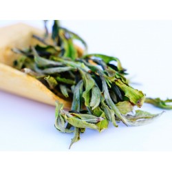 Dorje Mist-Kissed White Tea ( Celestial Reserve )