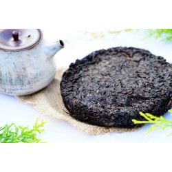 Indian Gushu Dark Tea Cake 2023