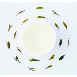 Himalayan Exotic Snow Kissed Green Tea ( Private Reserve )