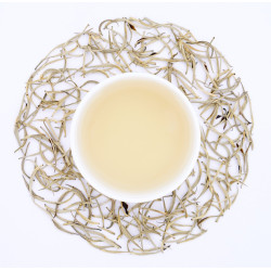 Assam Silver Plume - Full Moon Serenade