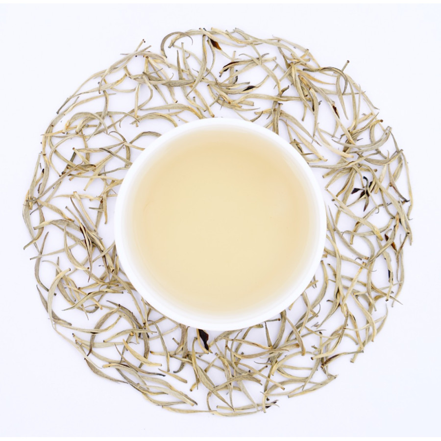 Assam Silver Plume - Full Moon Serenade