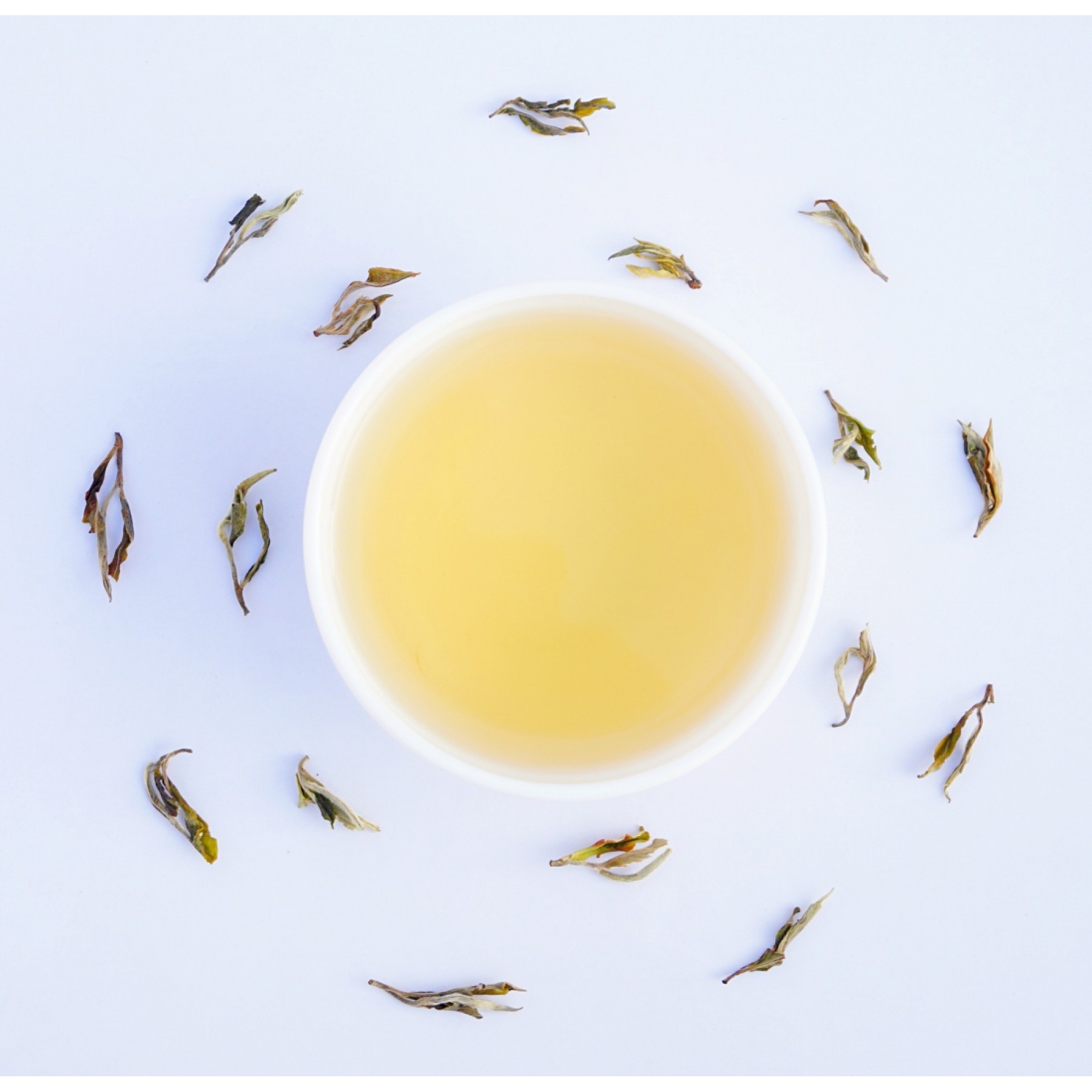 Margaret's Hope Exotic Moonlight White Tea ( Limited Edition )