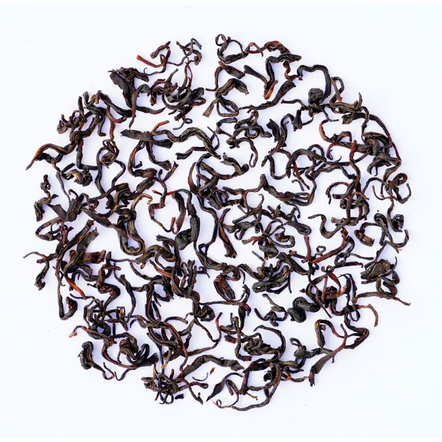 Nilgiri Winter Frost Black Curl ( The Planter's Reserve )