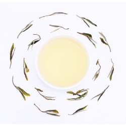 Nilgiri Slender Tea