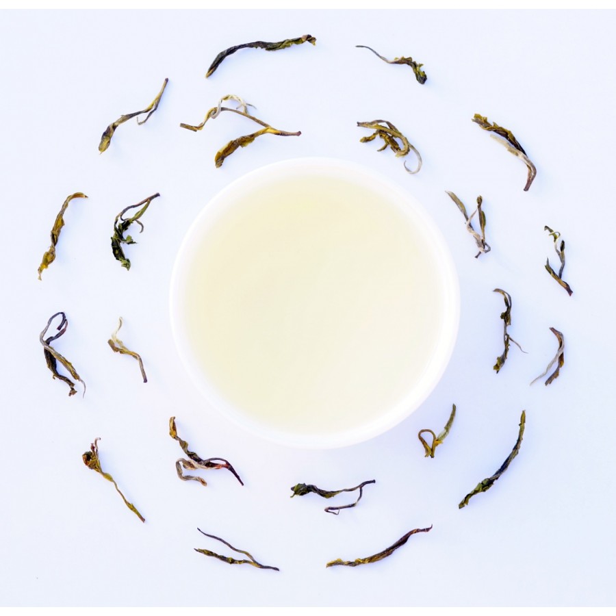 Nilgiri Highland White Tea 2023