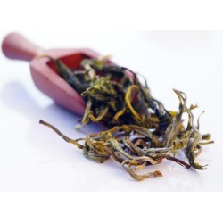 Nilgiri Highland White Tea 2023