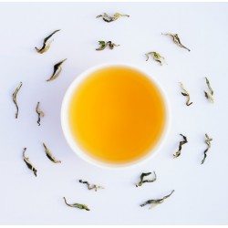 Nonaipara Forest Mist Black Tea — Ancient Wild Reserve