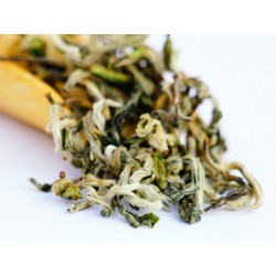 Nonaipara Forest Mist Black Tea — Ancient Wild Reserve