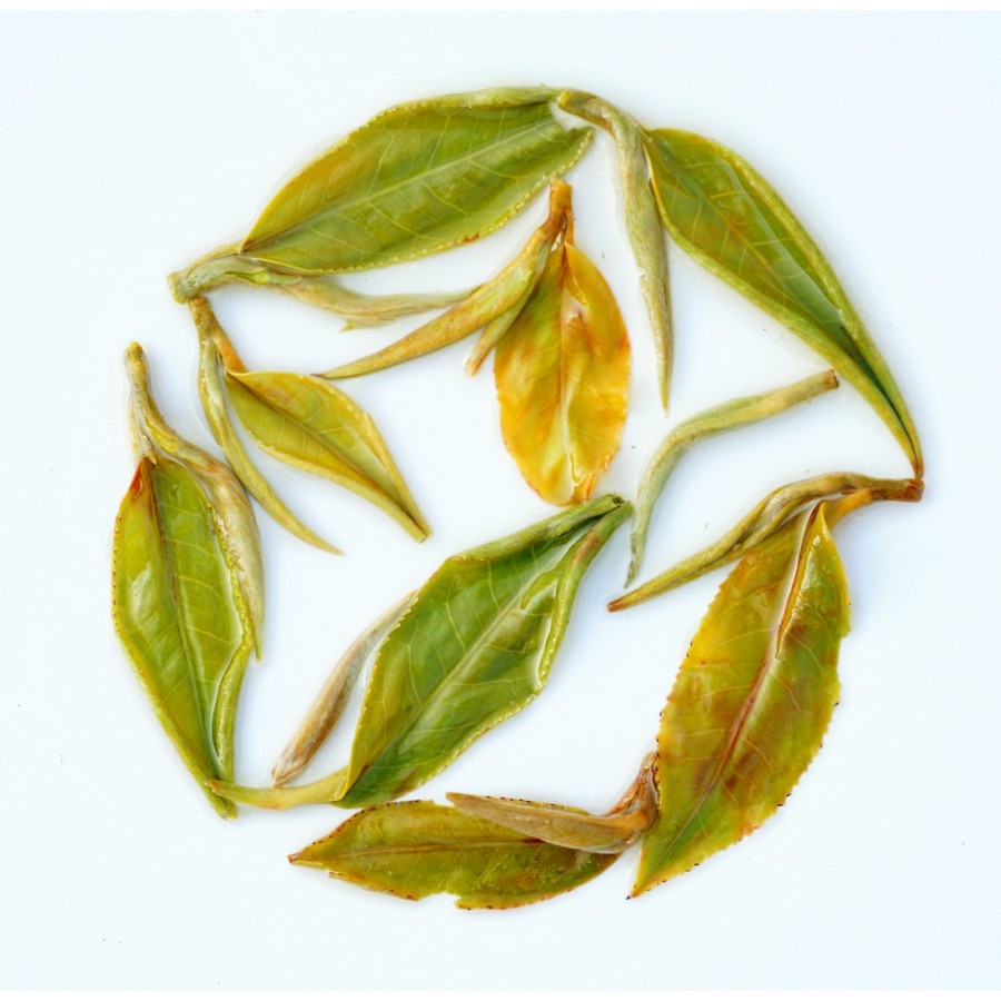 Nonaipara Forest Mist Black Tea — Ancient Wild Reserve