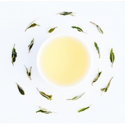 Oyan's Unying Pearl White Tea ( Tribal Reserve )