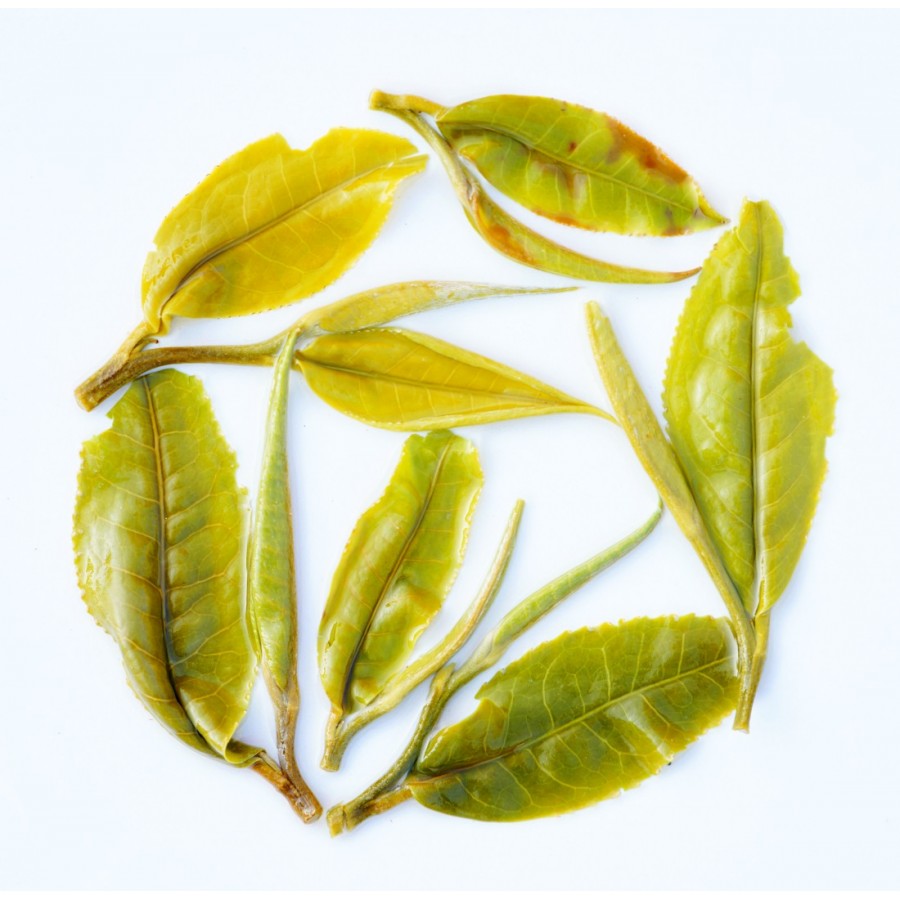 Oyan's Unying Pearl White Tea ( Tribal Reserve )