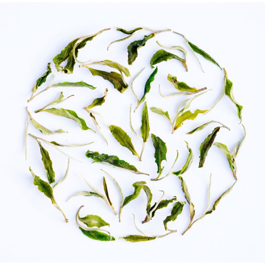 Oyan's Unying Pearl White Tea ( Tribal Reserve )