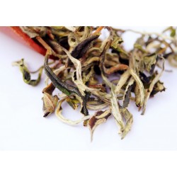 Darjeeling Exotic Peppery White Tea