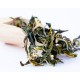 Phuguri Exotic Spring Auro Black Tea ( Private Reserve )