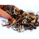 Puttabong Summer Moondrop Black Tea