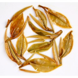 Darjeeling Aged White Oolong Tea ( 3 Year Aged )