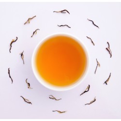 Darjeeling Moonlight Winter Oolong Tea