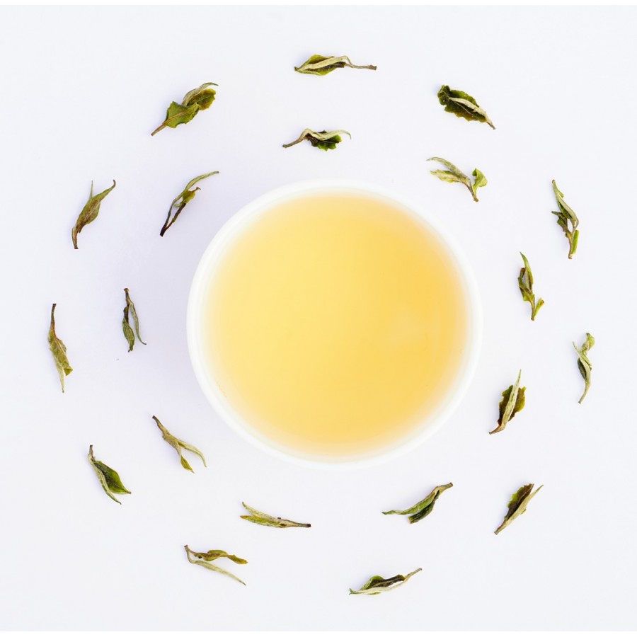 Darjeeling Exotic Spring Opus White Tea ( Planter's Reserve )