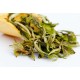 Darjeeling Exotic Spring Opus White Tea ( Planter's Reserve )