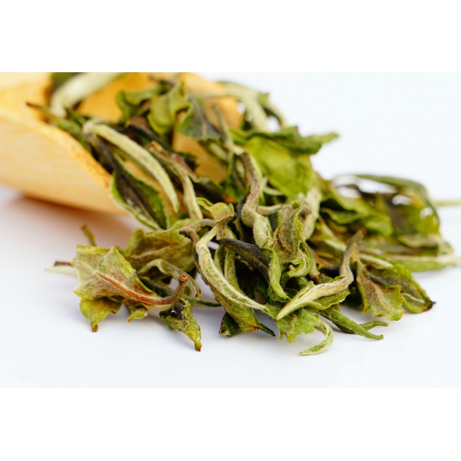 Darjeeling Exotic Spring Opus White Tea ( Planter's Reserve )