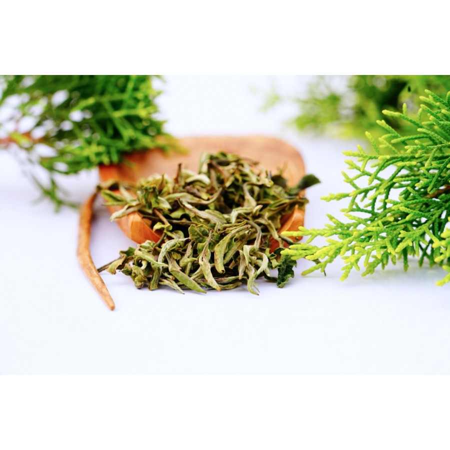 Darjeeling Exotic Spring Opus White Tea ( Planter's Reserve )