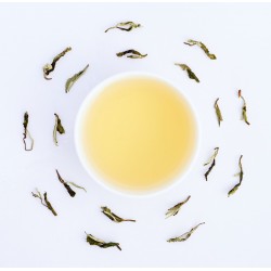 Darjeeling Exotic Utopia White Tea ( Limited Edition )