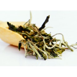 Darjeeling Exotic Utopia White Tea ( Limited Edition )
