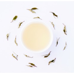 Rohini Exotic White Musk Tea