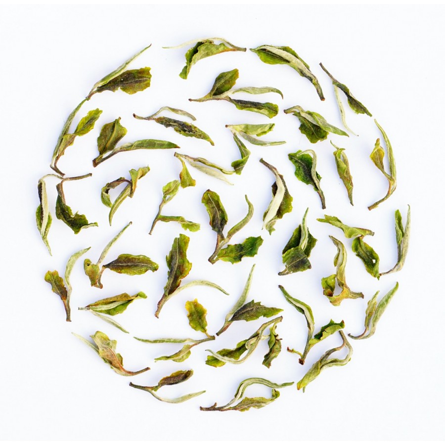 Darjeeling Exotic Spring Opus White Tea ( Planter's Reserve )