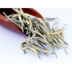 Assam Premium Silver Tendril White Tea