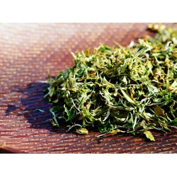 Siang's  Junmoni Winter Pearl White Tea ( Tribal Reservoir )