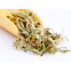 Dorje Sittong Citrus-Kissed White Tea ( Celestial Reserve )